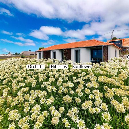 Ourmadeira - Quinta Inacia, Countryside Escape Apartment Calheta  Ngoại thất bức ảnh