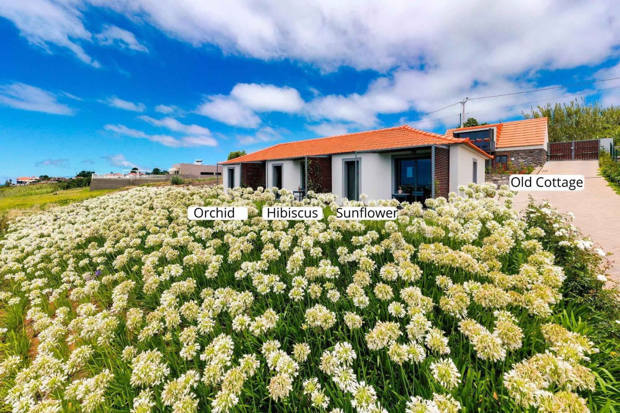 Ourmadeira - Quinta Inacia, Countryside Escape Apartment Calheta  Ngoại thất bức ảnh
